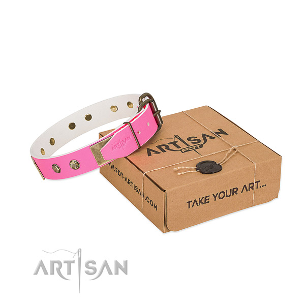Rust-proof buckle on dog collar for comfy wearing