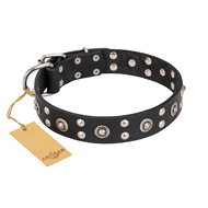 "Refined Essence" FDT Artisan Black Leather Riesenschnauzer Collar with Silvery Studs