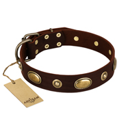 "Hebe's Jewel" FDT Artisan Brown Genuine Leather Riesenschnauzer Collar