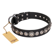 "Strict Elegance" FDT Artisan Black Leather Riesenschnauzer Collar with Decorations