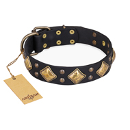 "Fancy-Schmancy" FDT Artisan Studded Leather Riesenschnauzer Collar