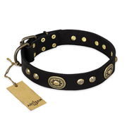 "High Fashion" FDT Artisan Studded with Plates Black Leather Riesenschnauzer Collar
