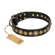 "Gold Mine" FDT Artisan Black Leather Riesenschnauzer Collar with Amazing Bronze-Plated Round Studs