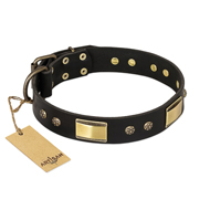 "Black Sun" FDT Artisan Leather Riesenschnauzer Collar with Brass Plated Decorations