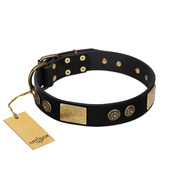"Chicci-Glam" FDT Artisan Black Leather Riesenschnauzer Collar with Plates and Ornate Studs