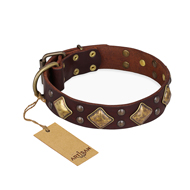 "Golden Square" FDT Artisan Brown Leather Riesenschnauzer Collar with Large Squares