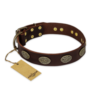 "Chocolate kiss" FDT Artisan Leather Riesenschnauzer Collar with Old Bronze Look Oval Plates