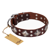 "King of Grace" FDT Artisan Stylish Leather Riesenschnauzer Collar with Old Silver-Like Plated Decorations