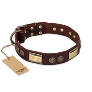 "Golden Stones" FDT Artisan Brown Leather Riesenschnauzer Collar with Old Bronze Look Plates and Circles