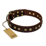"Fashion Studs" FDT Artisan Decorated Leather Riesenschnauzer Collar with Old Bronze-Plated Steel Hardware