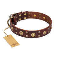 "Caprice of Fashion" FDT Artisan Brown Leather Riesenschnauzer Collar with Round Decorations