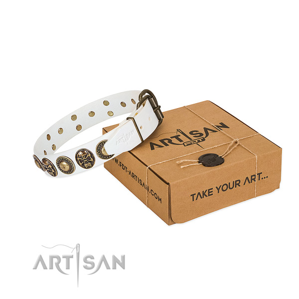 Strong hardware on dog collar for daily use