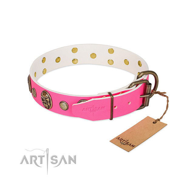 Rust-proof decorations on leather dog collar for your canine