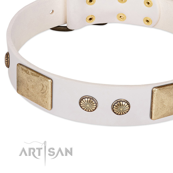 Corrosion resistant buckle on full grain genuine leather dog collar for your pet