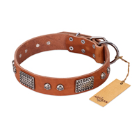 "Sparkling Skull" FDT Artisan Tan Leather Riesenschnauzer Collar with Old Silver Look Plates and Skulls