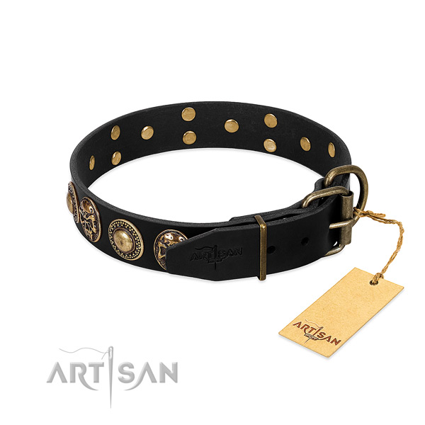Rust resistant hardware on everyday use dog collar