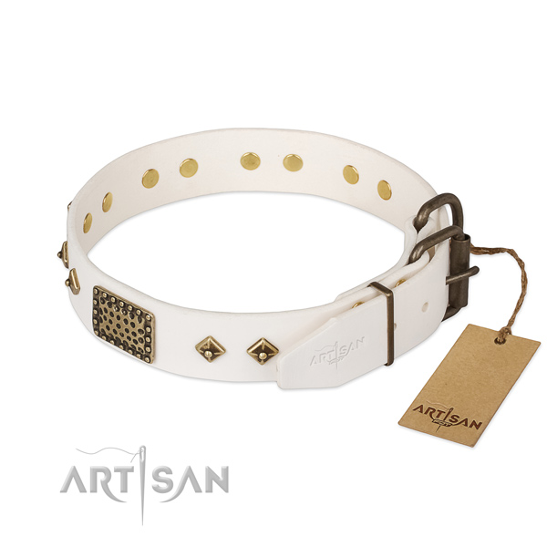 Genuine leather dog collar with reliable hardware and adornments