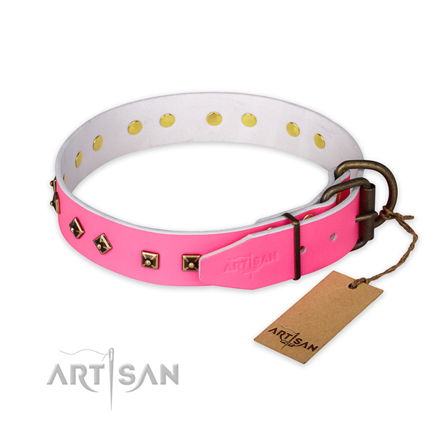 Rust-proof hardware on full grain genuine leather collar for everyday walking your dog