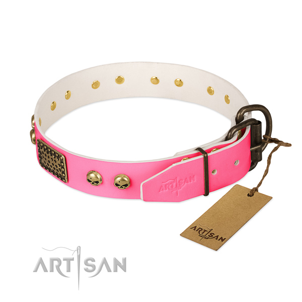 Durable fittings on basic training dog collar