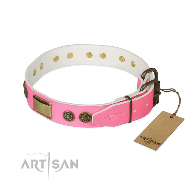 Durable D-ring on basic training dog collar
