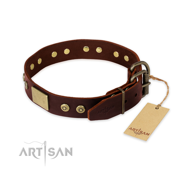 Durable D-ring on basic training dog collar