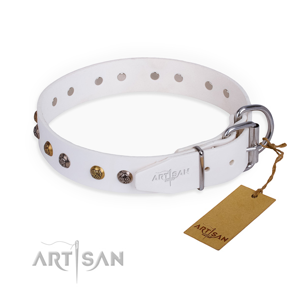 Leather dog collar with top notch reliable embellishments