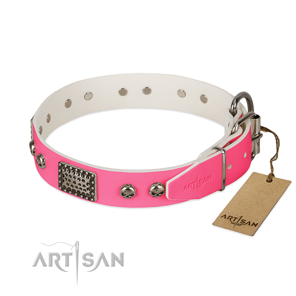 Durable hardware on everyday walking dog collar