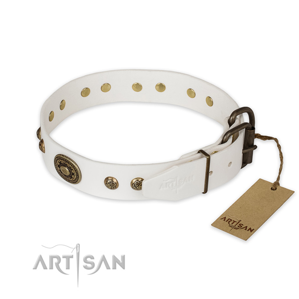 Rust resistant hardware on leather collar for walking your canine