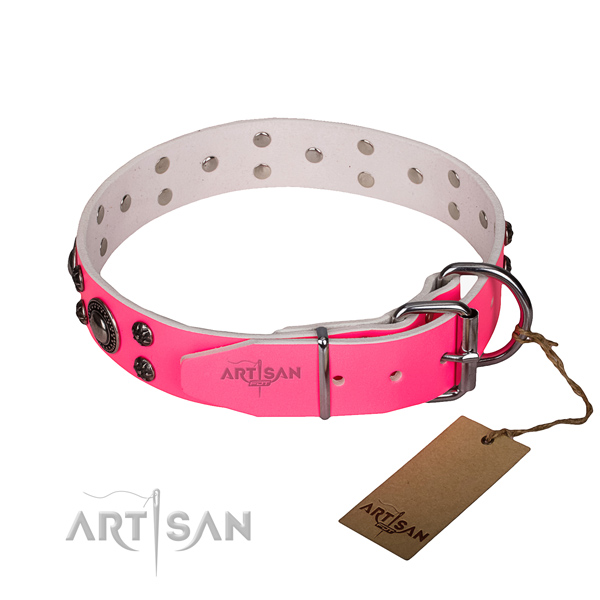 Fancy walking decorated dog collar of strong full grain leather