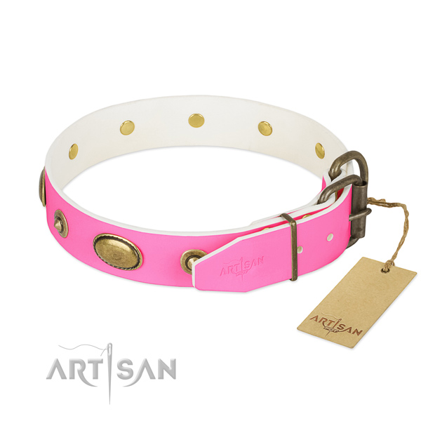Reliable studs on leather dog collar for your pet