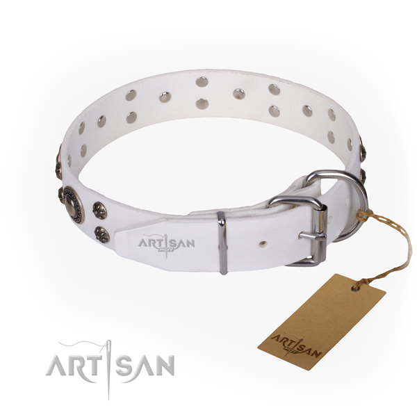 Everyday walking embellished dog collar of top notch full grain natural leather