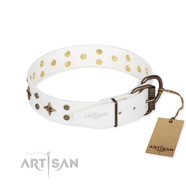 Stylish walking adorned dog collar of finest quality natural leather