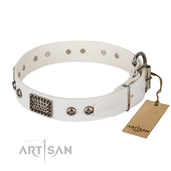 Strong fittings on everyday use dog collar