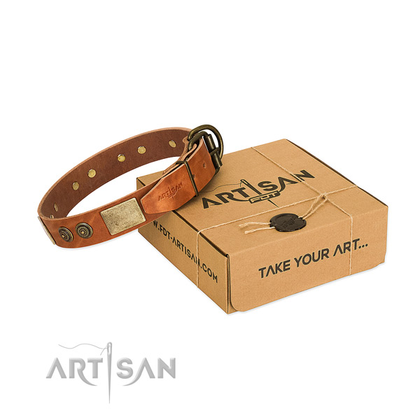 Corrosion proof buckle on genuine leather dog collar for basic training