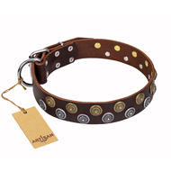 "Strong Shields" FDT Artisan leather Riesenschnauzer collar with stylish decorations