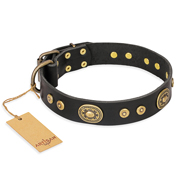 "Golden Radiance" FDT Artisan Black Leather Riesenschnauzer Collar with Old Bronze Look Ovals and Circles