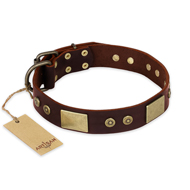 "Shining Armour" FDT Artisan Brown Leather Riesenschnauzer Collar with Decorations