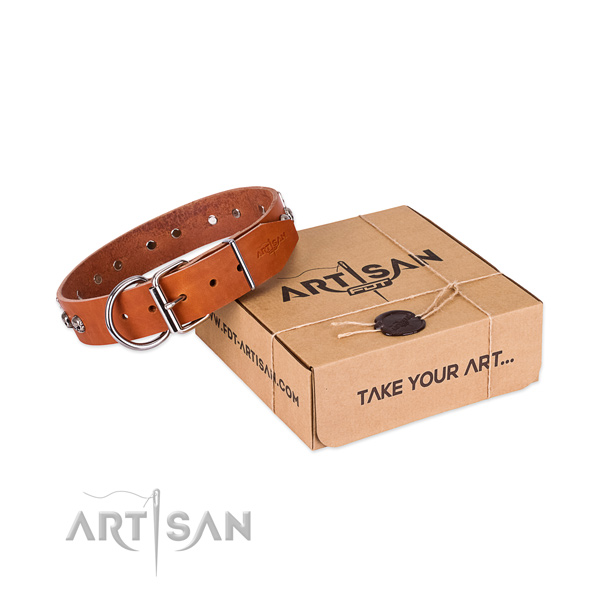 Corrosion resistant adornments on dog collar for everyday use