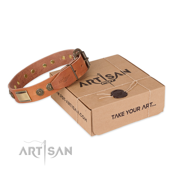 Rust-proof D-ring on full grain genuine leather dog collar for daily use