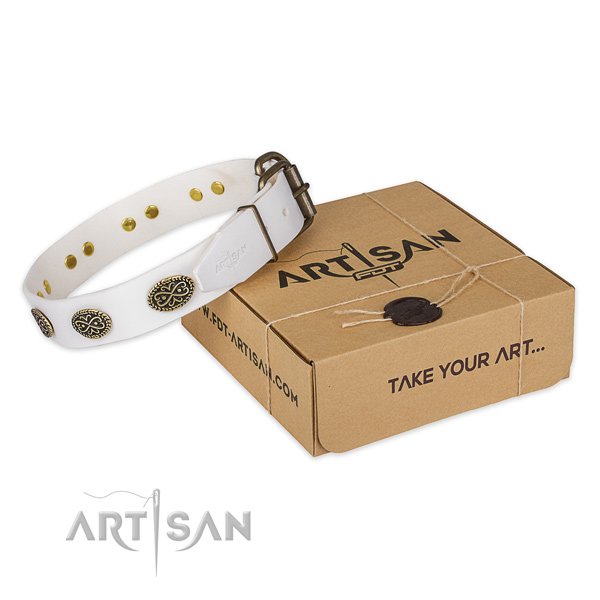 Rust resistant buckle on genuine leather collar for your stylish canine