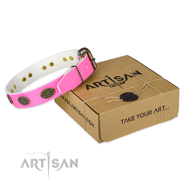 Strong fittings on dog collar for easy wearing