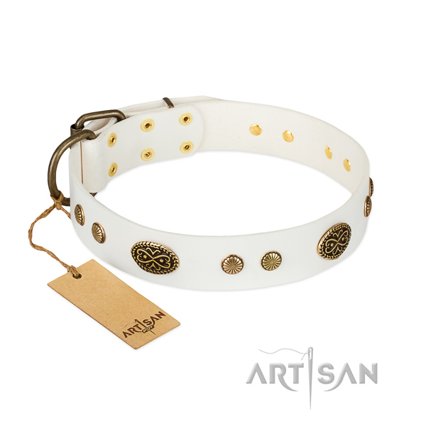 Rust-proof traditional buckle on genuine leather dog collar for your canine