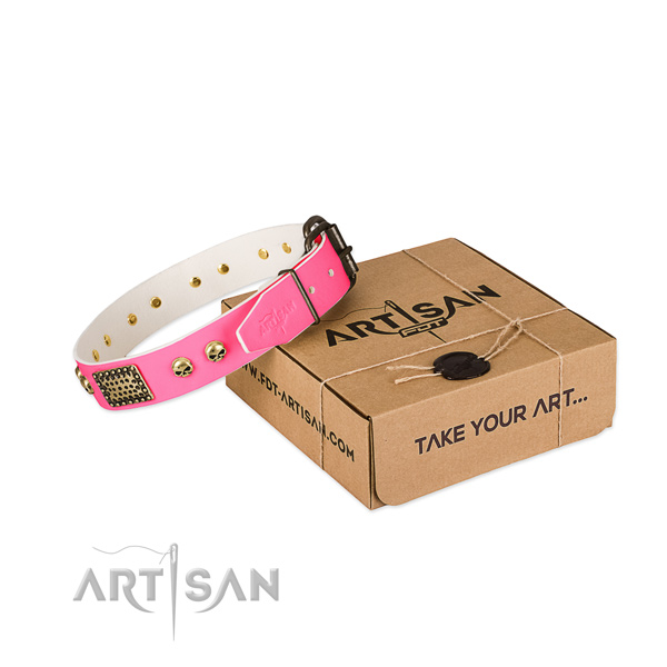 Rust-proof studs on dog collar for everyday use
