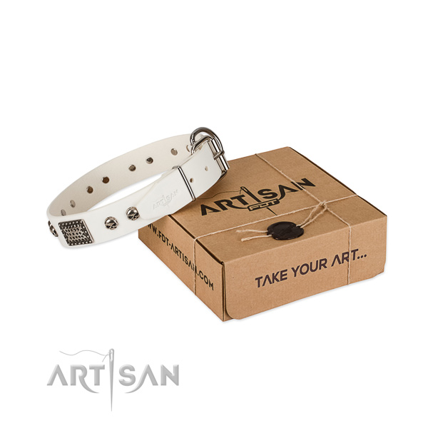Corrosion resistant buckle on dog collar for comfortable wearing