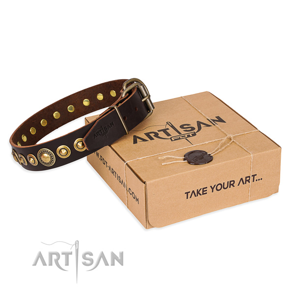 Best quality natural genuine leather dog collar crafted for basic training