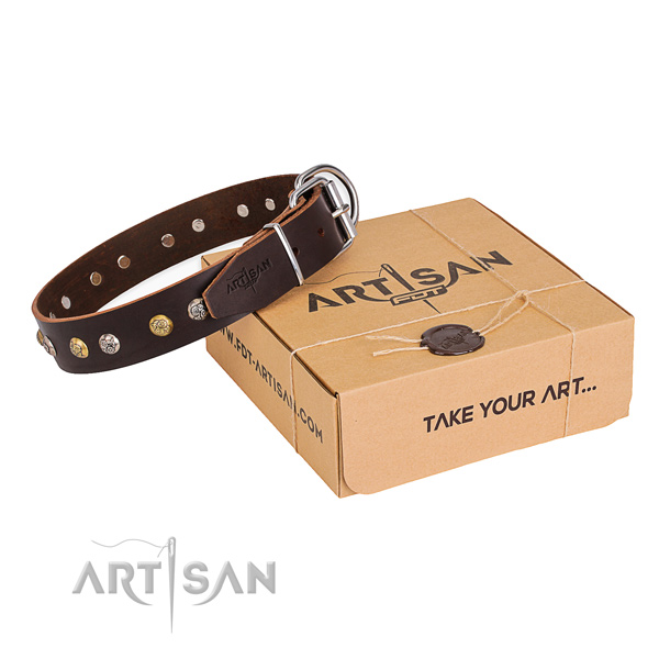 Top notch full grain natural leather dog collar handmade for stylish walking