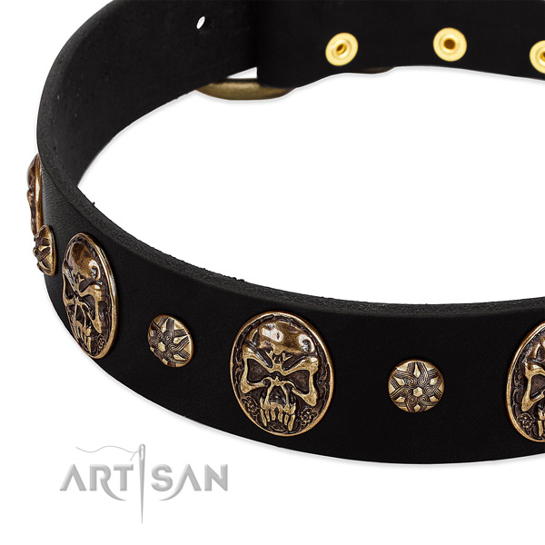 Rust resistant D-ring on natural genuine leather dog collar for your pet