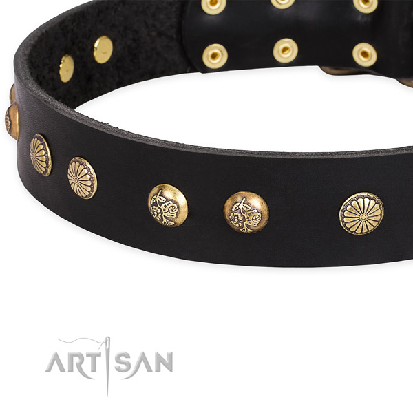 Leather collar with strong hardware for your handsome canine