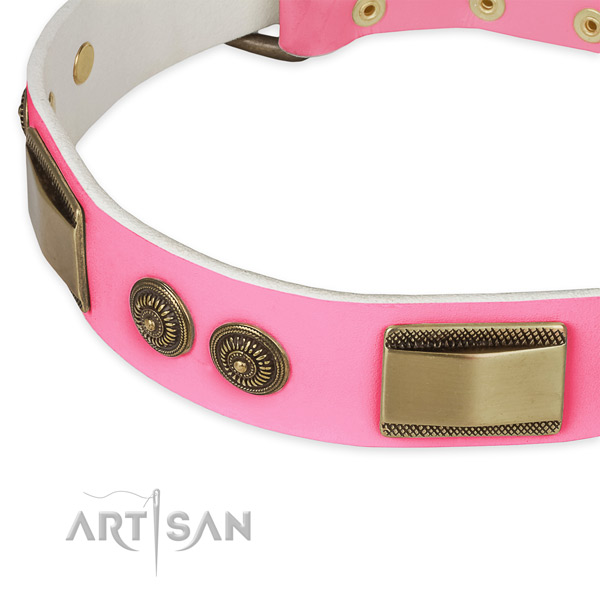 Full grain leather dog collar with studs for everyday use