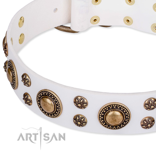 Comfortable wearing decorated dog collar of top notch genuine leather